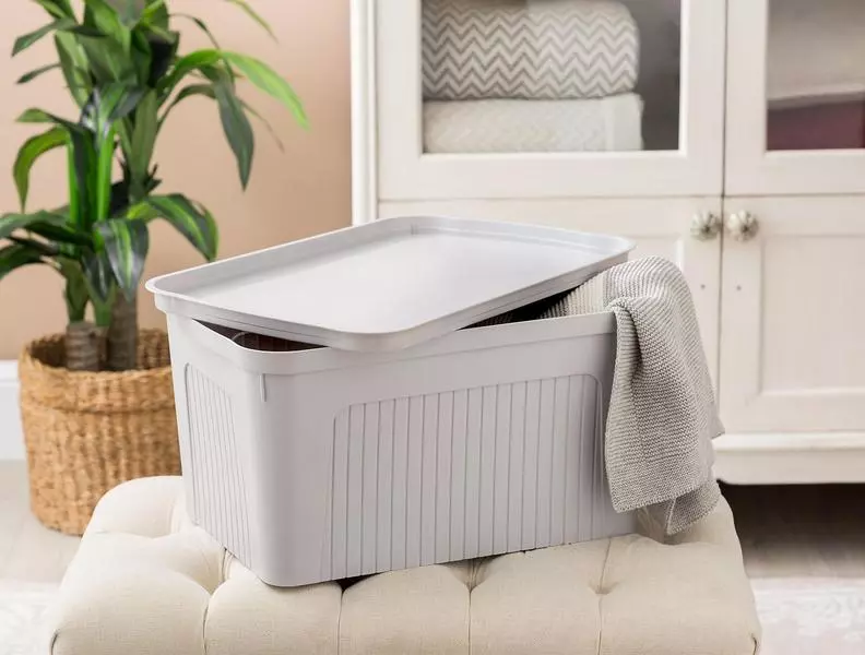 Densy Box With Lid 27 Lt