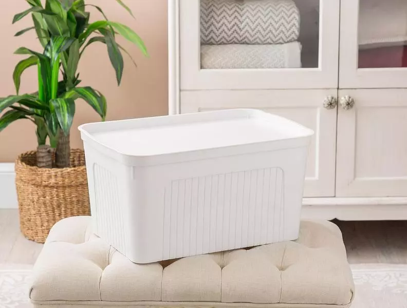 Densy Box With Lid 27 Lt