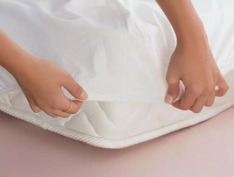 Valeria Cotton Jersey Fitted Sheet