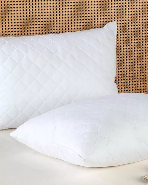 Farrant 2 Piece Quilted Ultrasonic Pillow