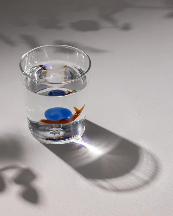 Violet Borosilicate Glass Cup 350Ml