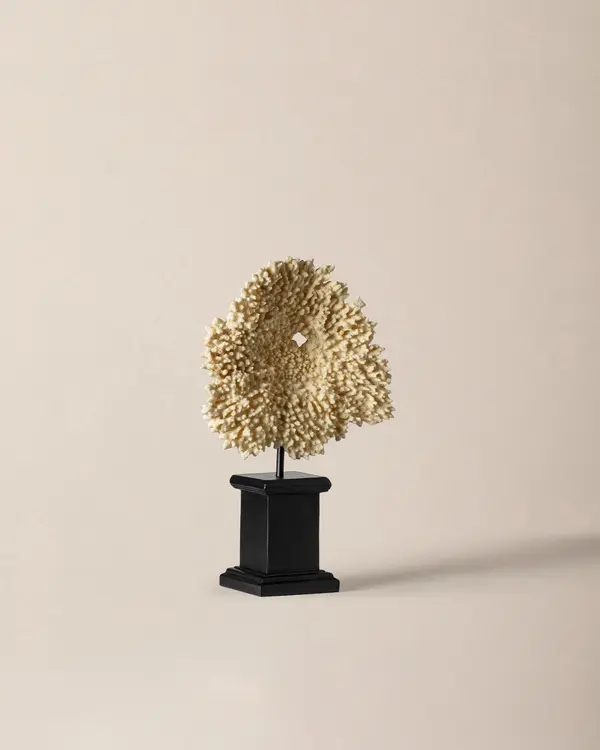 https://madamecoco.heyacdn.com/www.madamecocolebanon.com/public/data/products_gallery_600_600/68f8a68b749ad.webp