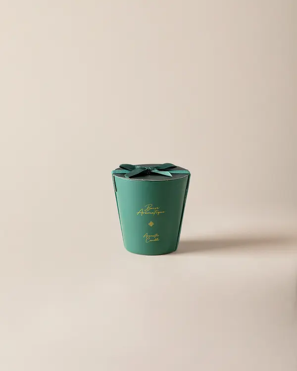 Repertoire Scented Glass Matte Candle 160 G