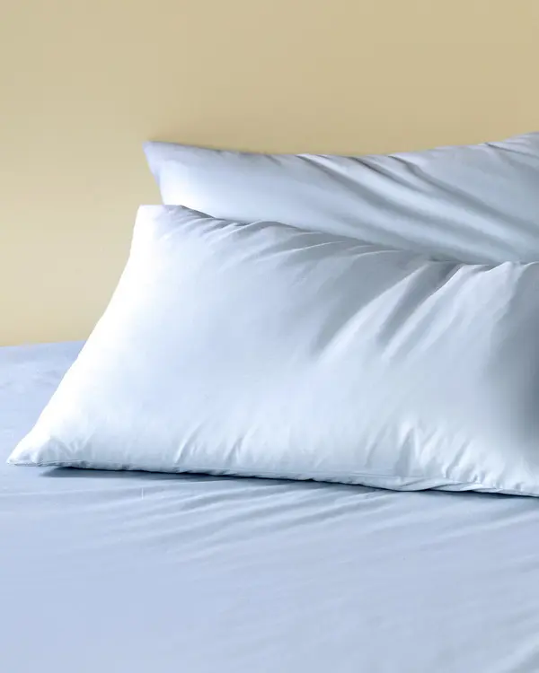 Manon Single Size Ranforce Fitted Sheet Set