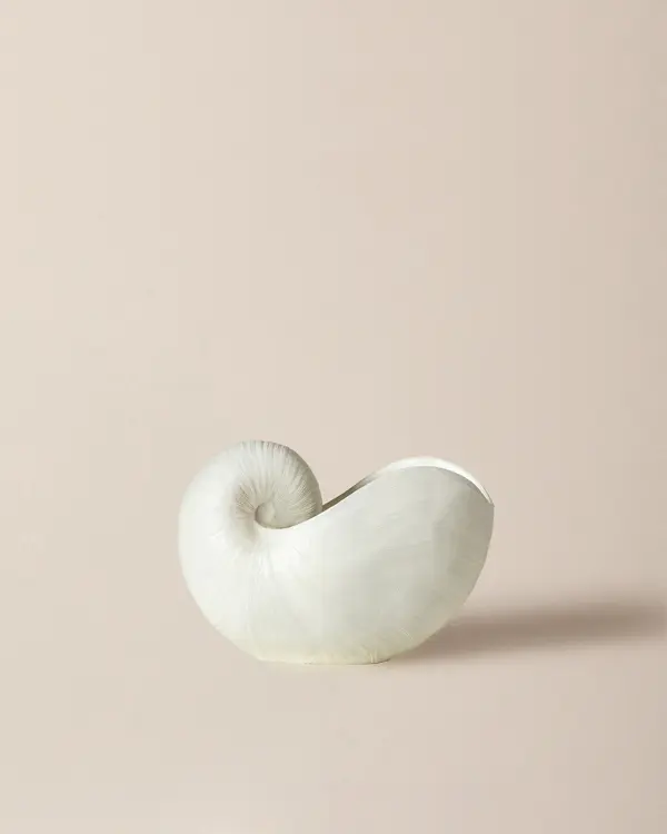 Thalassa Vase